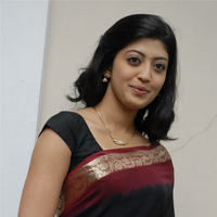 Praneetha hot in transparent black saree | Picture 68315